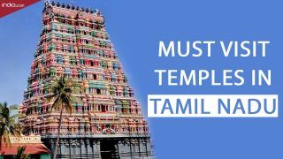 On a Trip to Tamil Nadu? Don't Miss These Intricate And Historical Temples | Watch Video