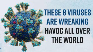 Corona, Monkeypox, Tomato Flu, Mars to Norovirus, These 8 Viruses Wreaking Havoc Across The World