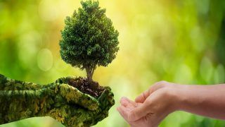 World Environment Day 2022: 5 Small Efforts You & I Can Make Every Day To Bring A Change