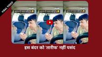Bandar Ka Gusse Wala Video News in Hindi, Latest Bandar Ka Gusse ...