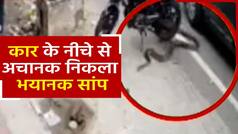 सांप का वायरल वीडियो: कार के नीचे से अचानक निकला सांप, डर से लोगों की पतलून हो गई गीली। देखें Video