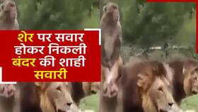 india.com top news