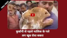 Viral Video: बकरीद पर बिकने आया बकरा मालिक के गले से लिपटकर खूब रोया, यह नजारा देख हर किसी की आखें हुई नम