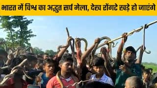 Viral Video: नागपंचमी पर भारत में अद्भुत सर्प मेला, नजारा आपको कर देगा हैरान। Watch Video