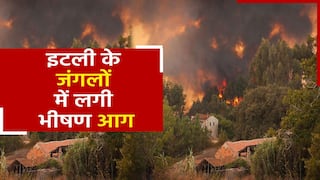 इटली के उत्तरी रोम में धूँ - धूँ कर जल रहे हैं जंगल। देखें वीडियो