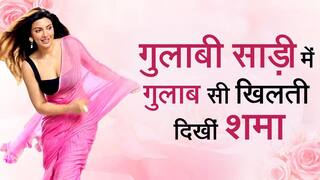 Shama Sikandar Bold Look: शमा सिकंदर ने साड़ी में ढाया कहर, कातिलाना अंदाज़ देख आप भी हो जाएंगे मदहोश। Watch  Video