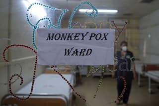 Monkeypox: Delhi's 2nd Suspect With Travel History Admitted To LNJP Hospital; Niti Aayog Says No Need To Panic