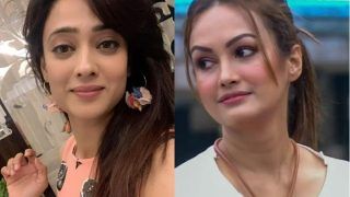 Shweta Tiwari to Nisha Rawal: 10 TV Actresses Who Accused Their Husbands of Domestic Violence