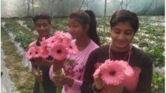 मां के गहने गिरवी रखकर प्रीती-प्रियंका ने शुरू की फूलों की खेती, करती हैं मोटी कमाई, खुशहाल हुई जिंदगी