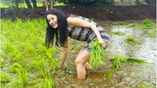 Shehnaaz Gill Enjoys Trekking, Farming Near Mumbai, Says ‘Alag Zindagi Ji Rahi Hu’ – Watch Viral Video