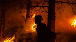 Explained | What's Causing Europe's Spate Of Deadly Wildfires?