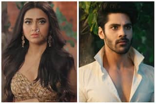 Naagin 6, August 28, Written Episode: Sheshnaagin Meets Her Daughter, Rishabh is Still Alive