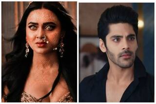 Naagin 6, July 24, Written Episode: Sheshnaagin Plans Vengeance, Rishabh Learns Pratha Was Innocent
