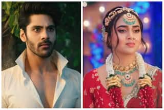 Naagin 6, July 30, Written Episode: Rishabh Learns Kiara is Pratha, Urvashi Attacks Shakti