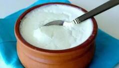 Food to NOT Eat With Dahi: 5 Worst Food Combinations to Have With Curd