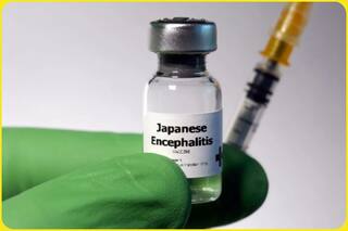 जापानी बुखार से 38 लोगों की मौत, 238 संक्रमित, बीमारी से निपटने के लिए जुटा पड़ा प्रशासन