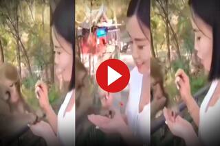 Ladki Ka Video: खुशी-खुशी बंदर को चने खिला रही थी लड़की, मगर तभी जो हुआ अंदर तक हिल गई | देखें ये वीडियो