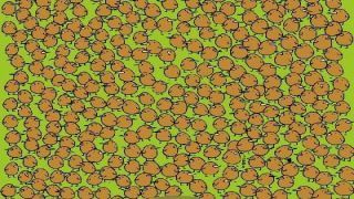 Optical Illusion: आज पता चलेगा कितनी तेज है आपकी नजर, दम है तो तस्वीर में छिपे कीवी खोजकर दिखाइए