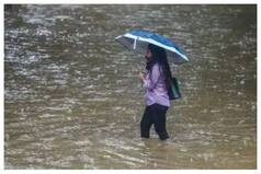 MP Rains: Flood-Like Situation in Bhopal, Schools Shut in Many Districts; Alert Sounded | 10 Points