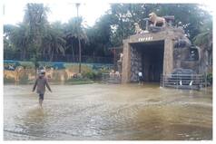 Safari Park At Hyderabad Zoo Flooded Following Heavy Rains, Animals In Night Enclosures