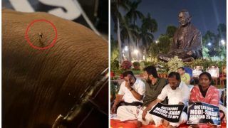 धरना दे रहे विपक्षी सांसदों को मच्छरों ने भी खूब छकाया- Video ट्वीट कर बयां किया दर्द; स्वास्थ्य मंत्री से की यह अपील