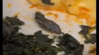 Mid-Air Horror: Flight Attendant Finds Severed Snake Head in Meal | WATCH