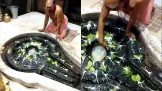 Viral Video: Ice Forms on Shivling at Nashik's Trimbakeshwar Temple, People Call it Miracle. Watch