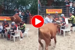 Saand Ka Video: गपशप कर रहे चार दोस्तों से बदला लेने पहुंच गया सांड, एक-एक कर सबको पीट डाला- देखें वीडियो