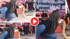 Sanp Aur Ladki Ka Video: खतरनाक किंग कोबरा को किस करने लगी लड़की, तभी दिखा हिला देने वाला नजारा | देखिए