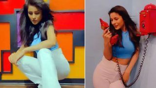 Shehnaaz Gill Sways to Taylor Swift’s Blank Space, Fans Say, 'Uff’ - Watch Video