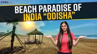 Forget Goa, Visit These Beaches in The Beach Paradise of India, Odisha - Watch Video