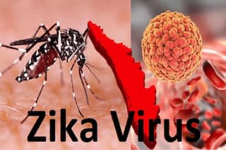 Zika Virus Update: कर्नाटक में मिला जीका वायरस का पहला मरीज, स्वास्थ्य मंत्री बोले- जल्द जारी होगी गाइडलाइंस
