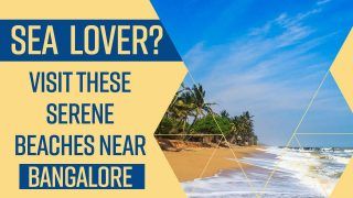 Best Beaches In Bangalore: Beach Lover? Take A Trip To These Breathtaking Beaches In Bangalore - Watch Video