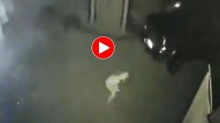 Viral Video Today: कैमरे में कैद हुआ अजीब सा दानव, पार्किंग में जो करता दिखा डर ही जाएंगे आप- देखें वीडियो
