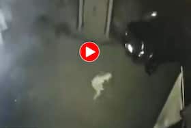 india.com top news
