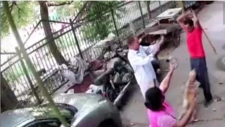 Delhi Man Assaults Three Neighbours, Their Pet With Iron Rod Over Dog's Barking | Video