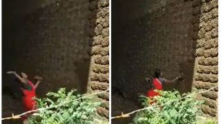 Viral Video: Woman Perfectly Sticks Cow Dung on Wall, People Call It 'Amazing Desi Talent' | Watch
