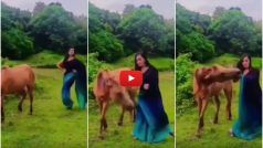 Ladki Ka Dance: घोड़े के पास गई और डांस करने लगी लड़की, मगर एक गलती ने मरवा दिया | देखिए Video