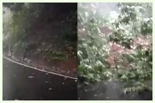 Landslide in Karnataka's Agumbe Ghat Road Disrupts Traffic. Check Diverted Routes Here
