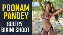 Poonam Pandey Videos | Latest & Exclusive Videos of Poonam Pandey ...