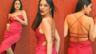 Shehnaaz Gill's Hot Video Creates Stir Online, Actress Looks Sensuous in Backless Red Dress - Watch