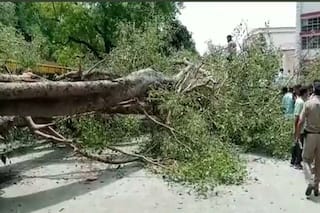 Narrow Escape For 3 Men On Scooter As Tree Falls on Them During Rain in Rajasthan