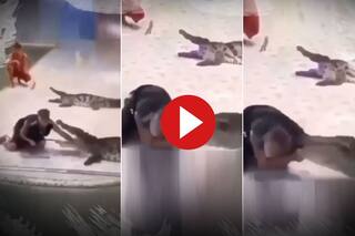 Magarmach Ka Video: मगरमच्छ का खुला मुंह देख मस्ती करने पहुंच गया शख्स, मुंह में हाथ डालते ही हो गया खेला- देखें वीडियो