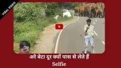 Viral Video: बीच सड़क पर जंगली हाथियों के झुंड के साथ युवक ले रहे थे सेल्फी, चंद सेकंड में जान बचाकर भागे