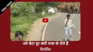 Viral Video: बीच सड़क पर जंगली हाथियों के झुंड के साथ युवक ले रहे थे सेल्फी, चंद सेकंड में जान बचाकर भागे