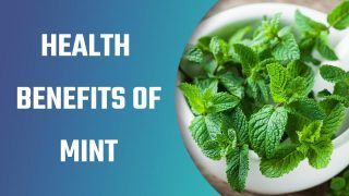 Health Benefits Of Mint: From Help In Digestion To Treat Asthma, Mint Has Some Really Amazing Benefits| Watch Video