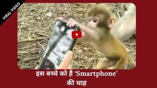 Viral Video: बंदर के बच्चे को पसंद आया स्मार्टफोन, मां के मना करने के बावजूद शख्स के हाथ से छीन रहा फोन