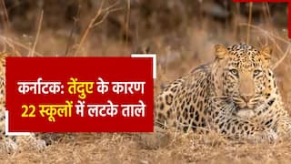 कर्नाटक के बेलगावी में 10 दिनों से घुसे तेंदुए को पकड़ने में वन विभाग की कोशिश नाकाम, 22 स्कूलों को किया गया बंद| Watch Video