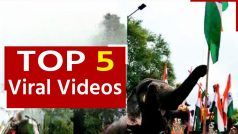 Viral Video: हाथी ने फहराया राष्ट्रीय ध्वज, फिर निकाली रैली, देखें वीडियो