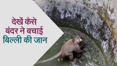 Bandar And Billi Ka Video: बंदर की मानवता का देखकर पसीज जाएगा आपका दिल। देखें वीडियो